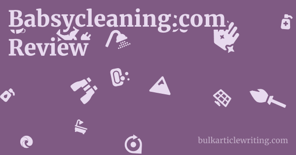 Babsycleaning.com Review 1 by