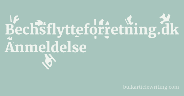 Bechsflytteforretning.dk Anmeldelse 1 by