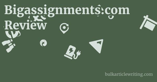 Bigassignments.com Review 1 by