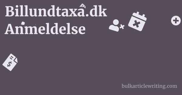 Billundtaxa.dk Anmeldelse 1 by Partners