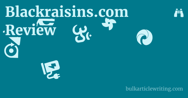 Blackraisins.com Review 1 by
