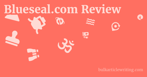 Blueseal.com Review 1 by