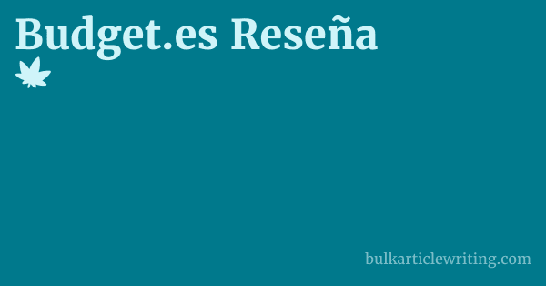 Budget.es Reseña 1 by Partners