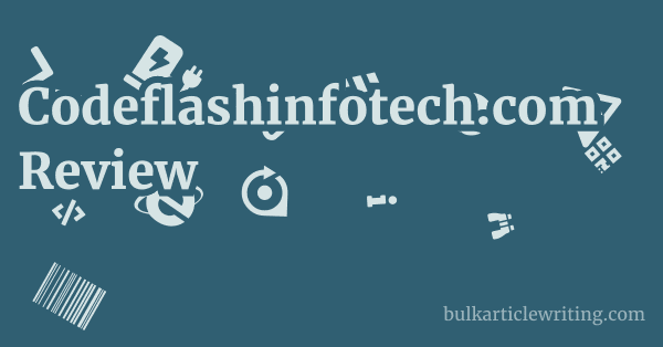 Codeflashinfotech.com Review 1 by