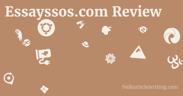 Essayssos.com Review 1 by