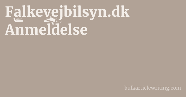 Falkevejbilsyn.dk Anmeldelse 1 by Partners