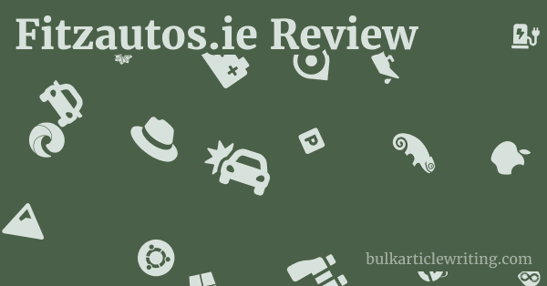 Fitzautos.ie Review 1 by