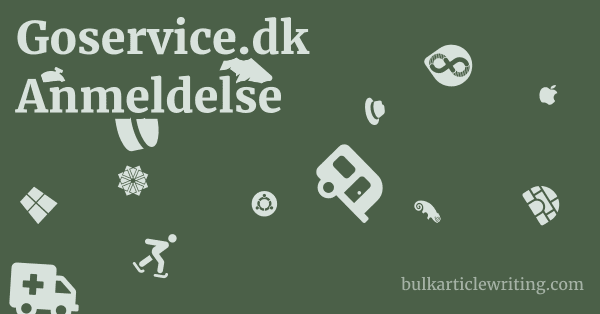 Goservice.dk Anmeldelse 1 by