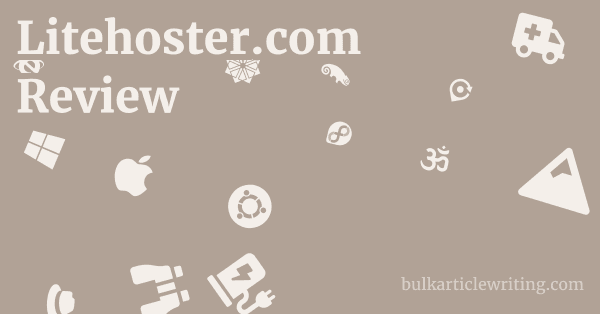 Litehoster.com Review 1 by