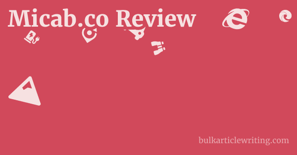 Micab.co Review 1 by Partners