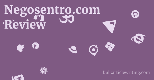 Negosentro.com Review 1 by
