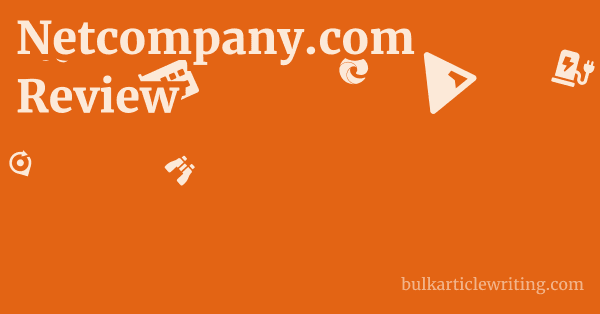 Netcompany.com Review 1 by