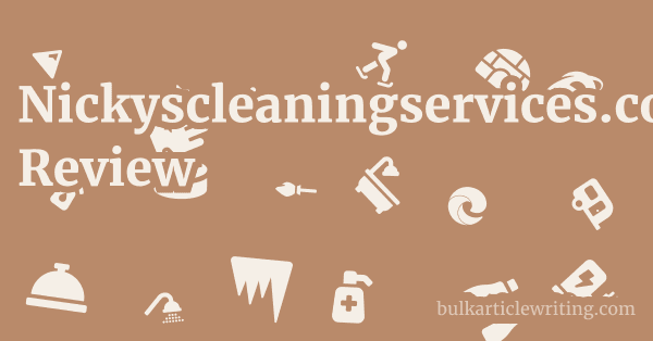 Nickyscleaningservices.co.uk Review 1 by Partners