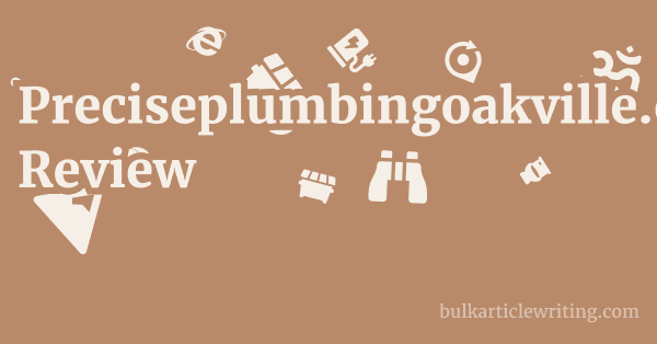 Preciseplumbingoakville.com Review 1 by