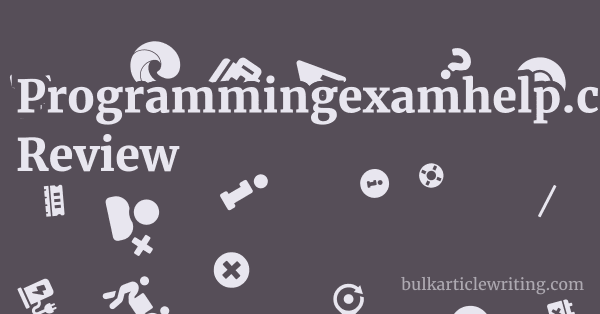 Programmingexamhelp.com Review 1 by