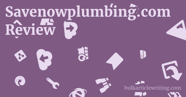 Savenowplumbing.com Review 1 by