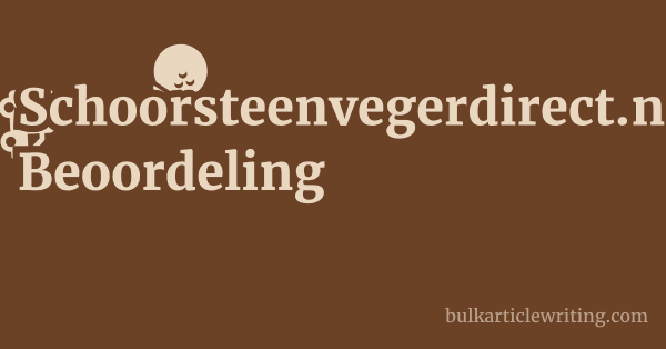 Schoorsteenvegerdirect.nl Beoordeling 1 by
