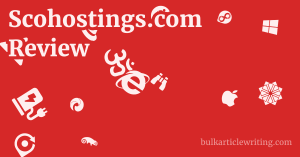 Scohostings.com Review 1 by