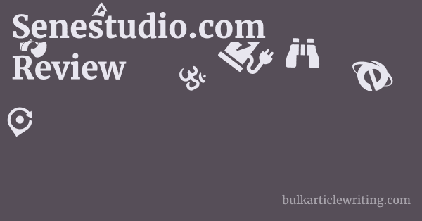 Senestudio.com Review 1 by