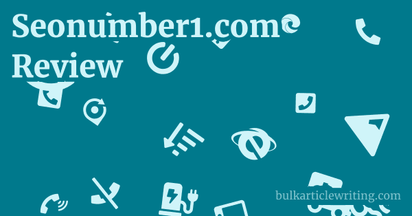 Seonumber1.com Review 1 by Partners