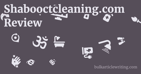 Shabooctcleaning.com Review 1 by