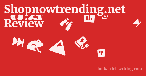 Shopnowtrending.net Review 1 by