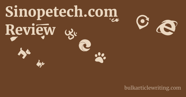 Sinopetech.com Review 1 by