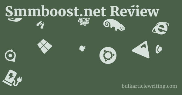 Smmboost.net Review 1 by