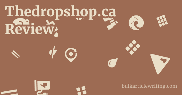 Thedropshop.ca Review