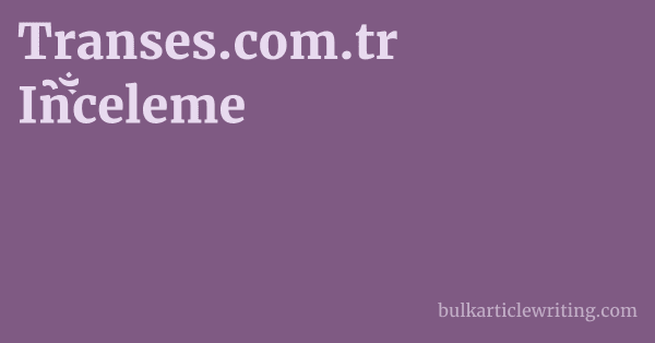 Transes.com.tr Inceleme 1 by