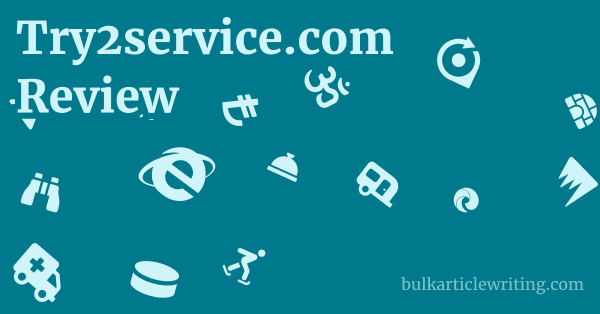 Try2service.com Review 1 by