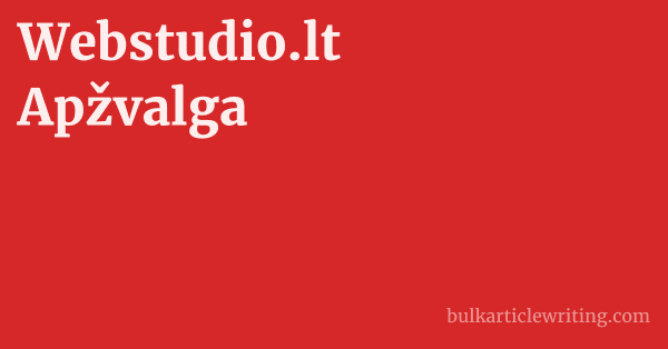 Webstudio.lt Apžvalga 1 by